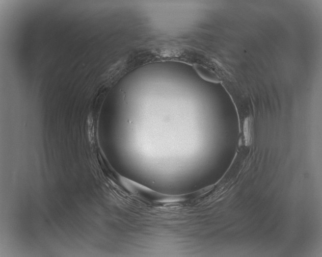 X0000071351443200606261329