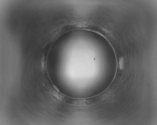 X0000071351444200606261329