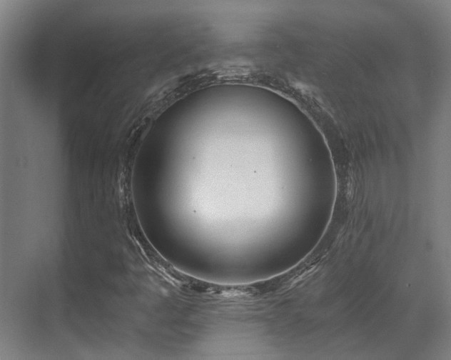 X0000071351445200606261329