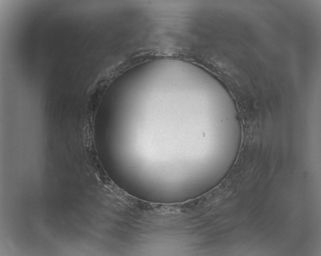 X0000071351446200606261329