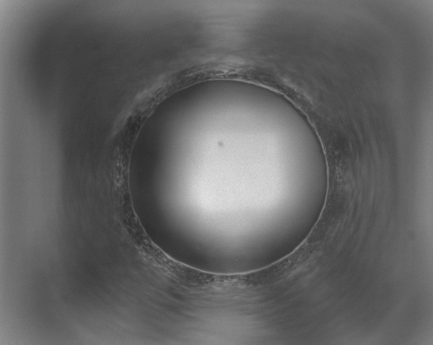 X0000071351447200606261329