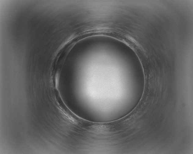 X0000071351450200606261329