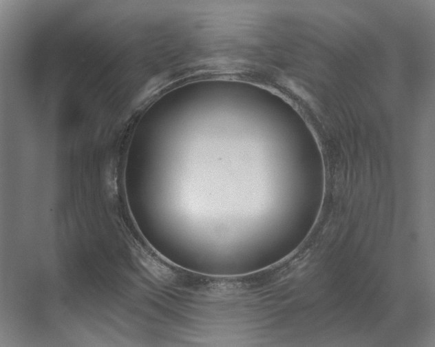 X0000071351451200606261329