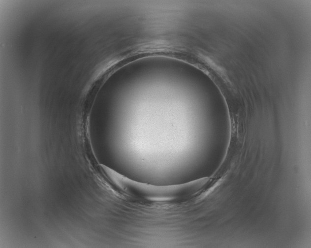 X0000071351453200606261329