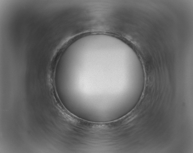 X0000071351454200606261329