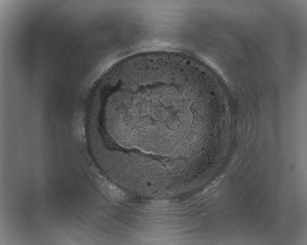 X0000071351455200606261329