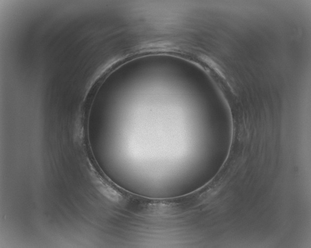 X0000071351458200606261329