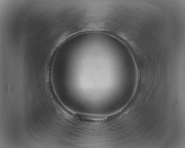 X0000071351459200606261329