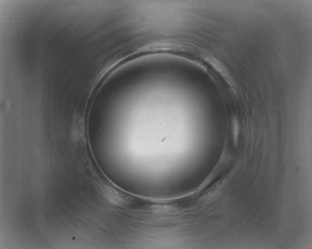 X0000071351465200606261329