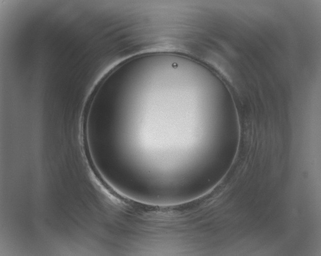 X0000071351468200606261329