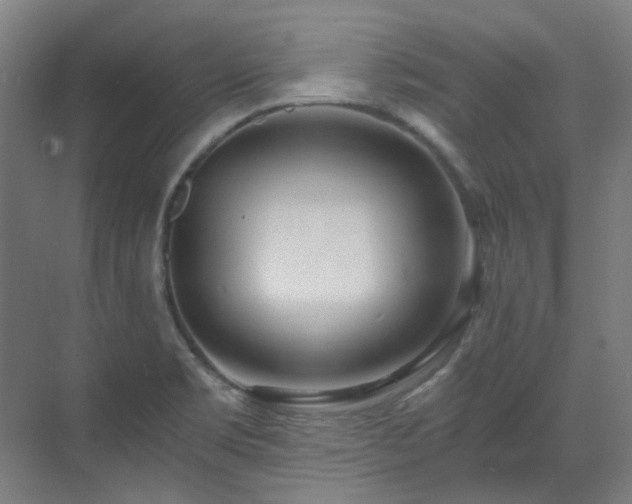 X0000071351469200606261329