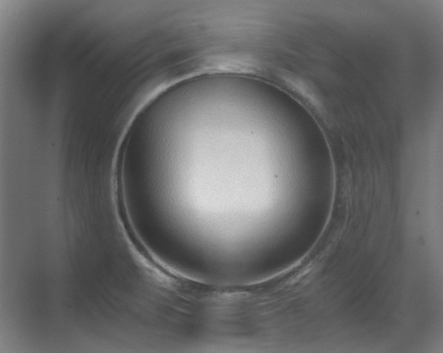 X0000071351471200606261329