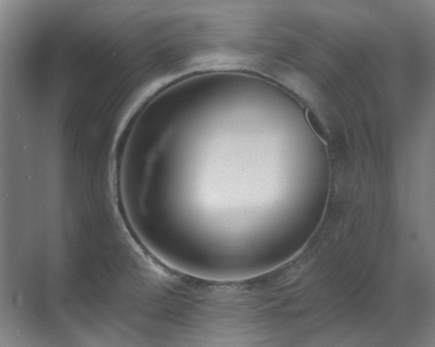 X0000071351472200606261329