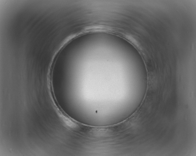 X0000071351474200606261329