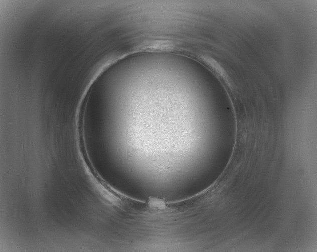 X0000071351475200606261329