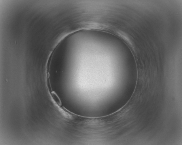 X0000071351479200606261329