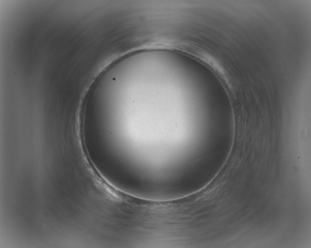 X0000071351480200606261329