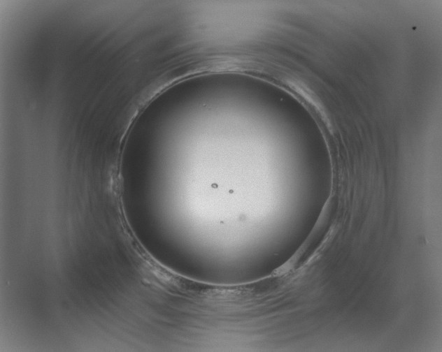 X0000071351481200606261329