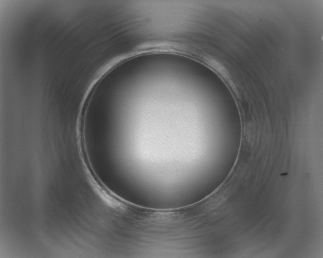 X0000071351482200606261329