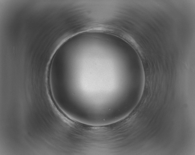 X0000071351483200606261329