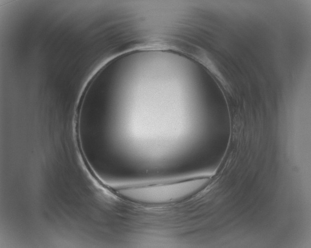 X0000071351484200606261329