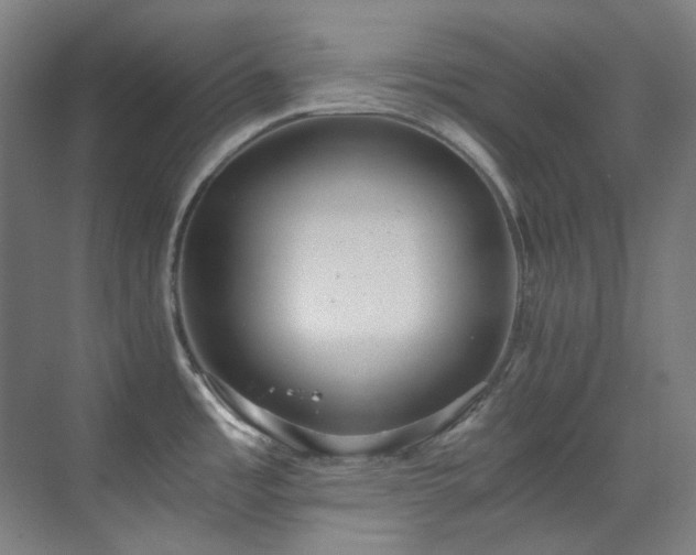 X0000071351485200606261329