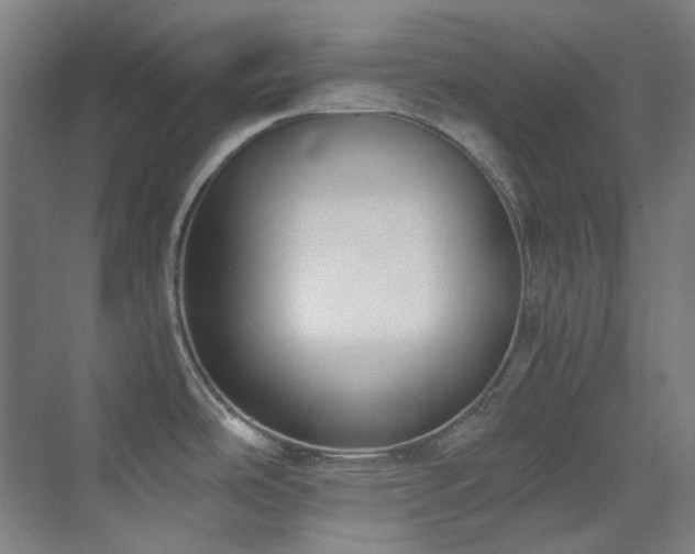 X0000071351486200606261329