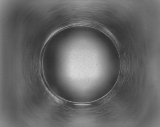 X0000071351487200606261329