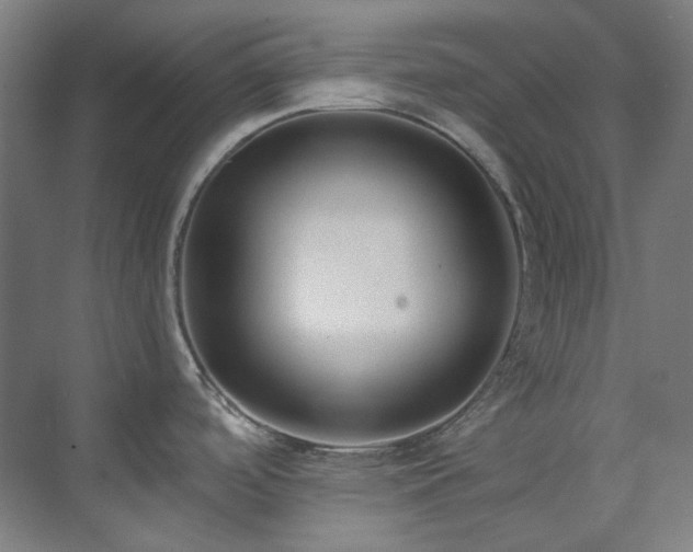 X0000071351488200606261328