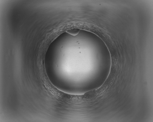 X0000071351489200606261328