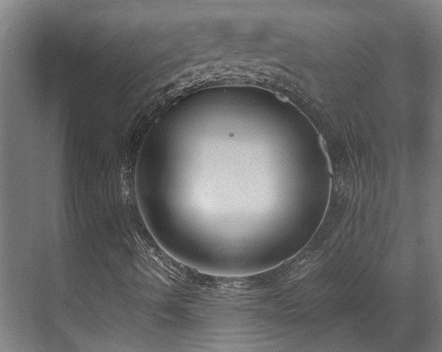 X0000071351490200606261328