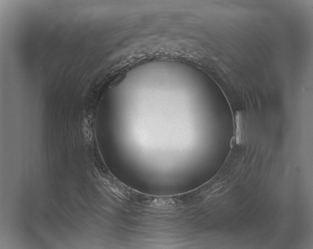 X0000071351491200606261328