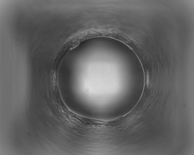 X0000071351492200606261328