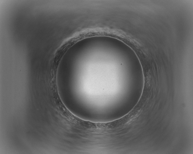 X0000071351494200606261328