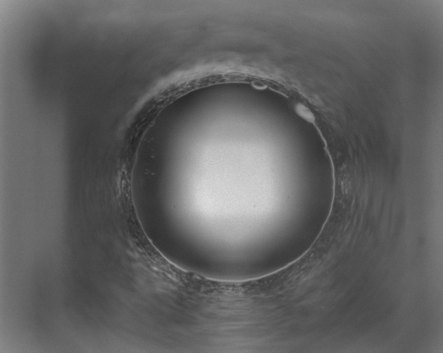 X0000071351495200606261328