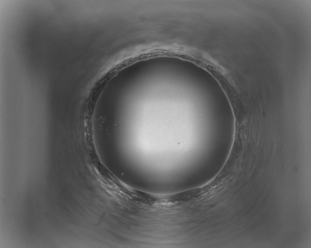 X0000071351496200606261328