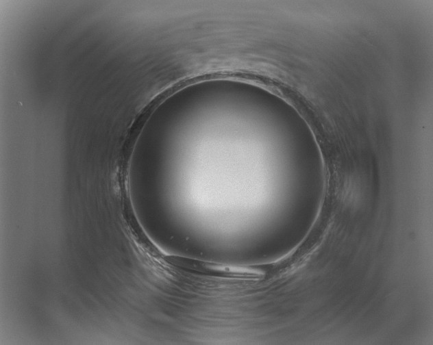 X0000071351497200606261328