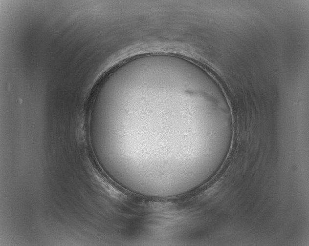 X0000071351498200606261328