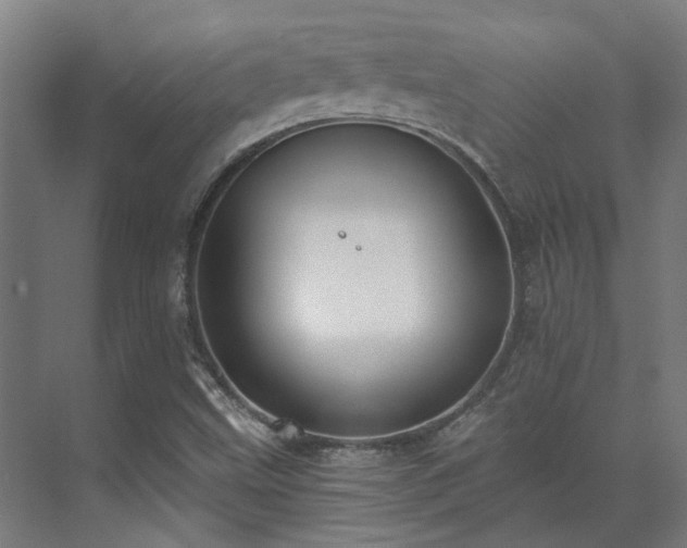 X0000071351499200606261328