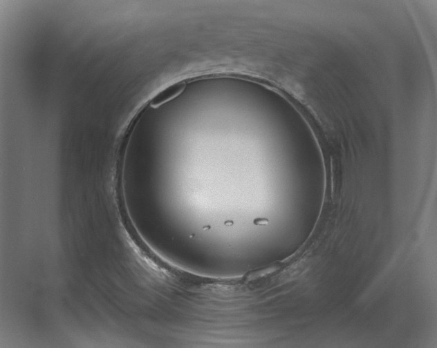 X0000071351500200606261328