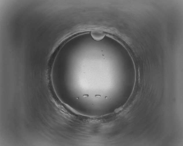 X0000071351501200606261328