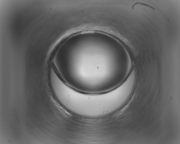 X0000071351502200606261328