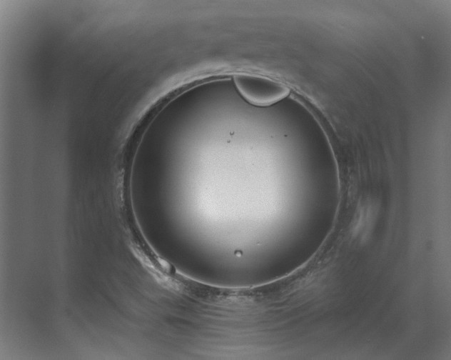 X0000071351503200606261328