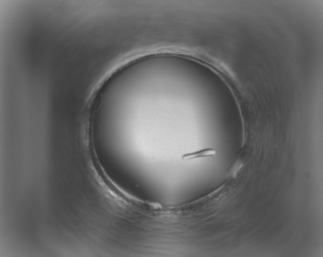 X0000071351504200606261328