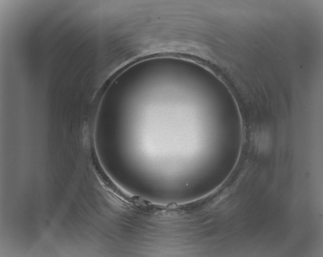 X0000071351505200606261328