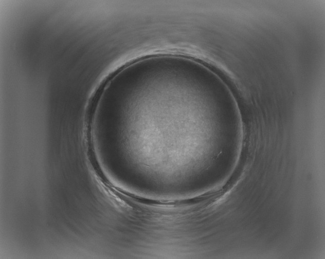 X0000071351506200606261328