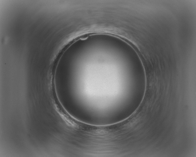 X0000071351507200606261328