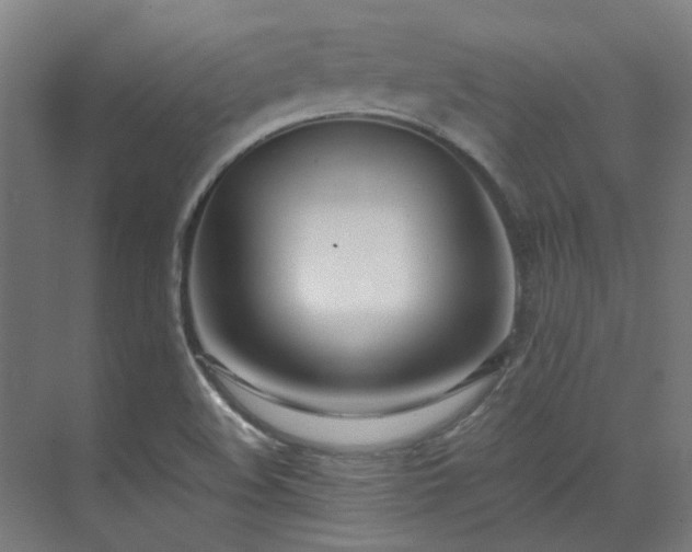 X0000071351508200606261328