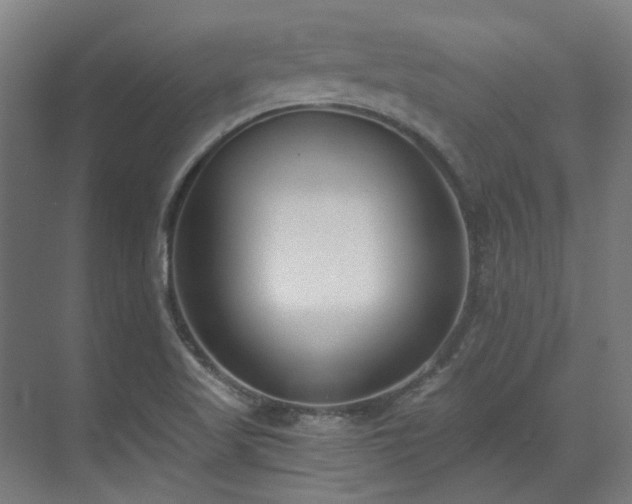 X0000071351509200606261328