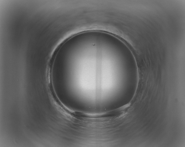 X0000071351510200606261328